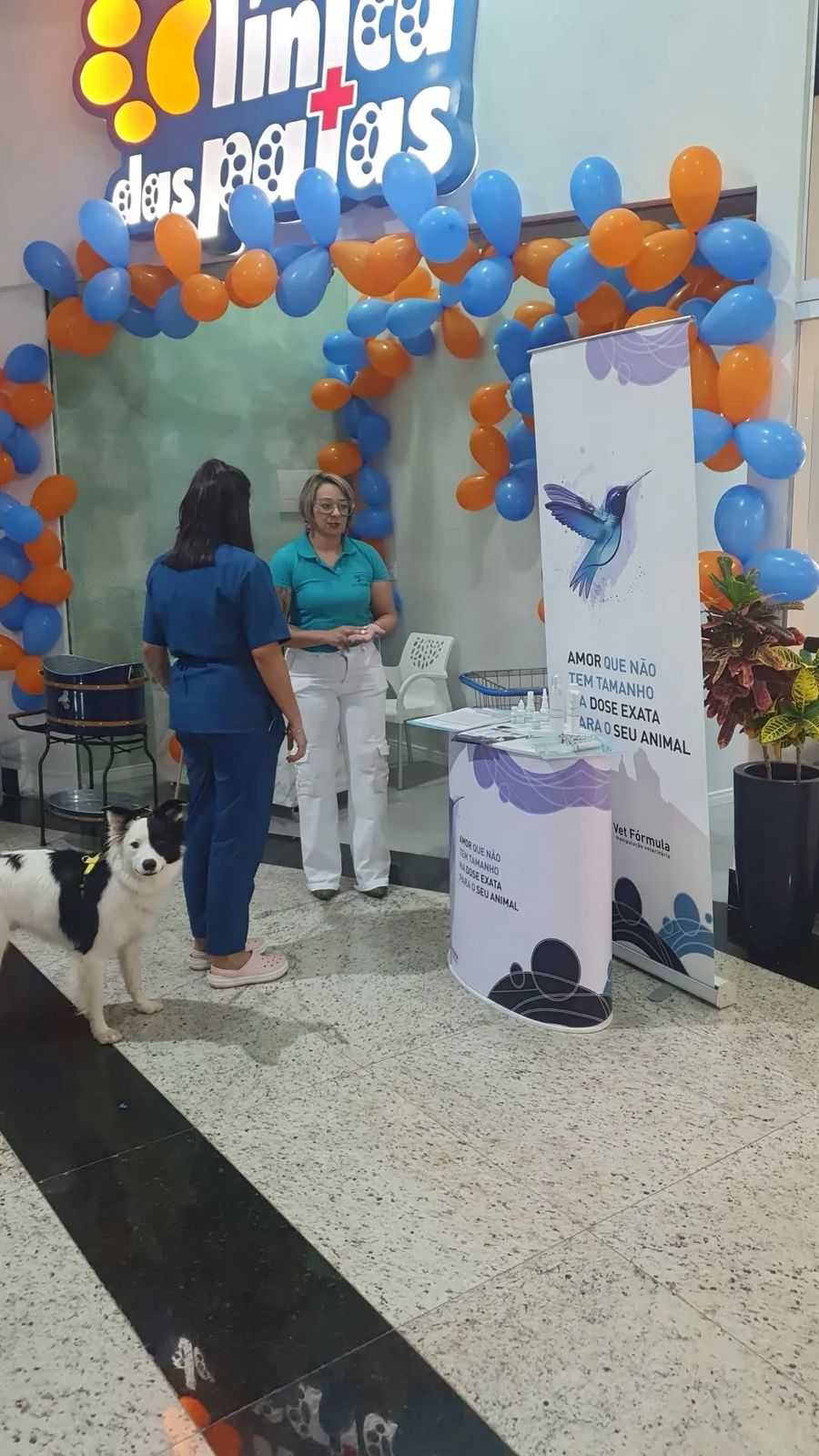 Foto da Galeria